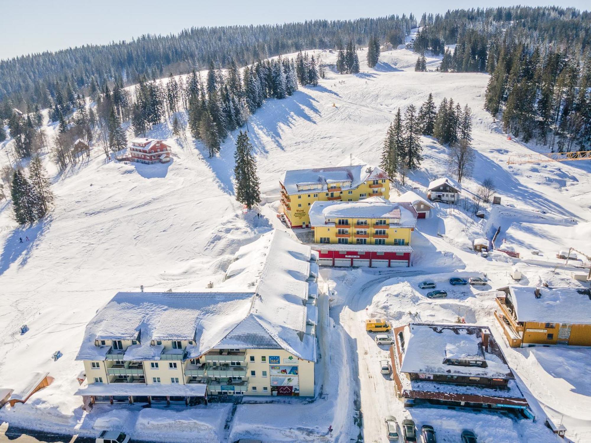 Feldberg Domizil - Residenz Grafenmatt Apartment Rinken Bagian luar foto