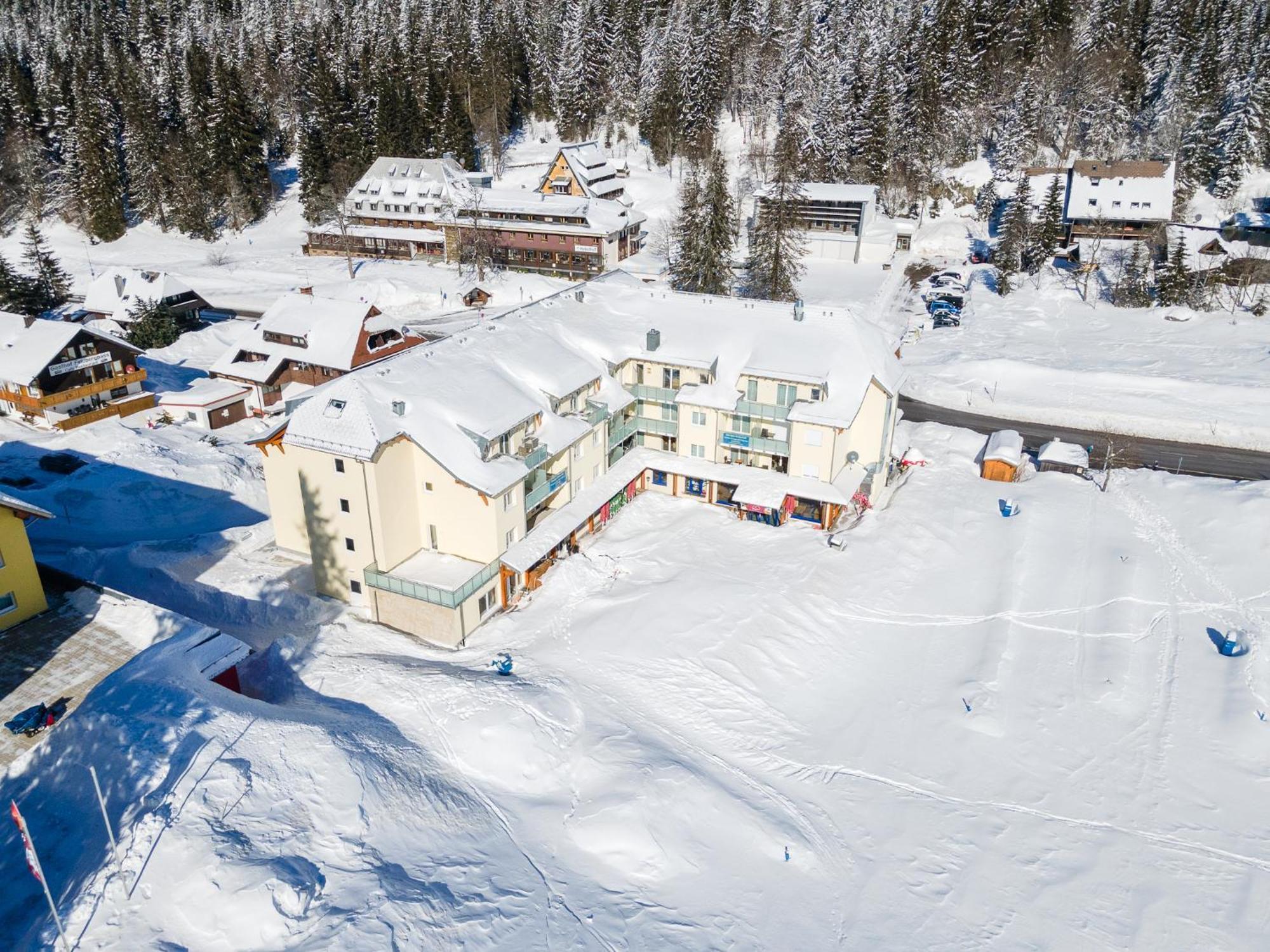Feldberg Domizil - Residenz Grafenmatt Apartment Rinken Bagian luar foto