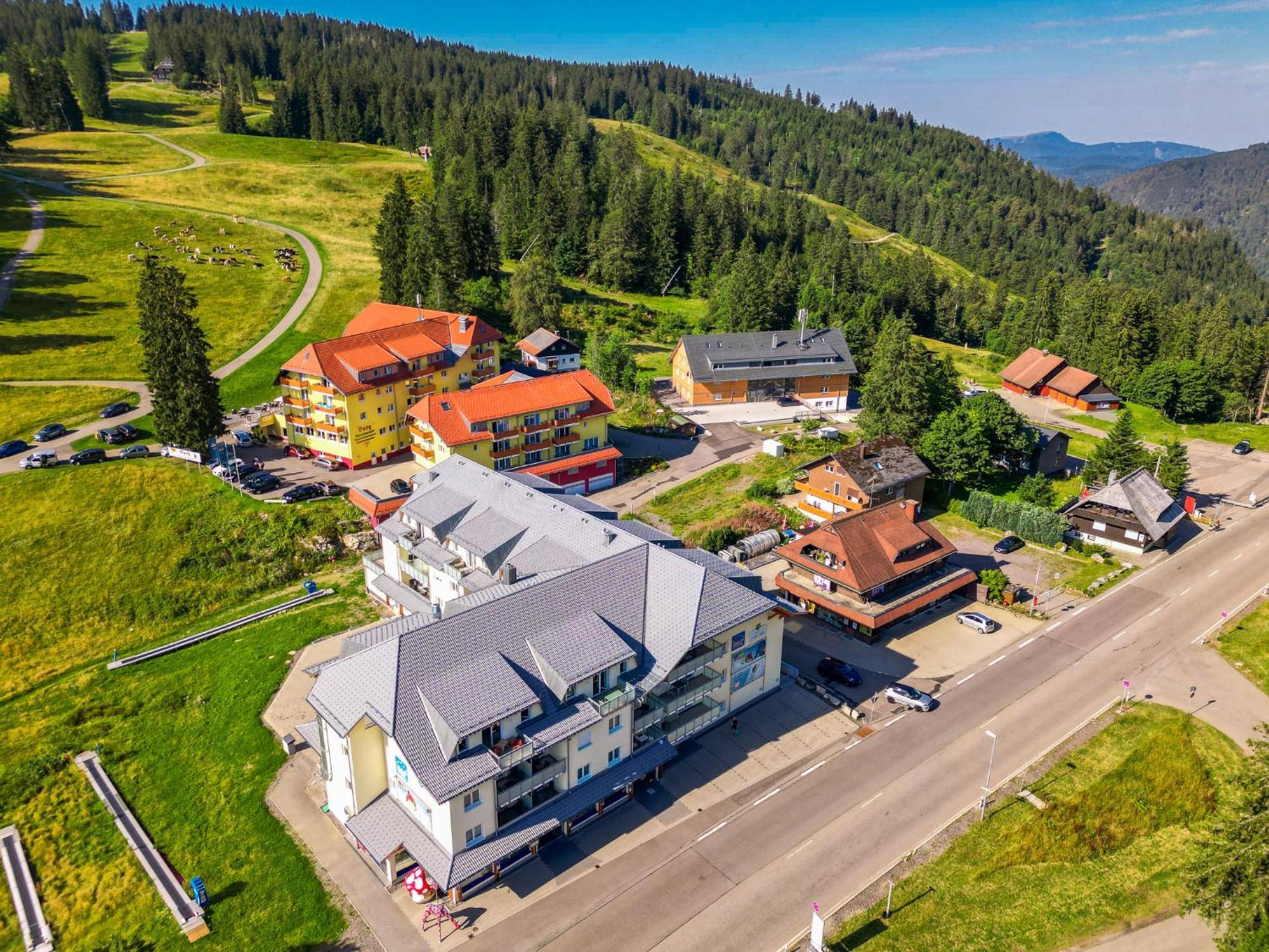 Feldberg Domizil - Residenz Grafenmatt Apartment Rinken Bagian luar foto
