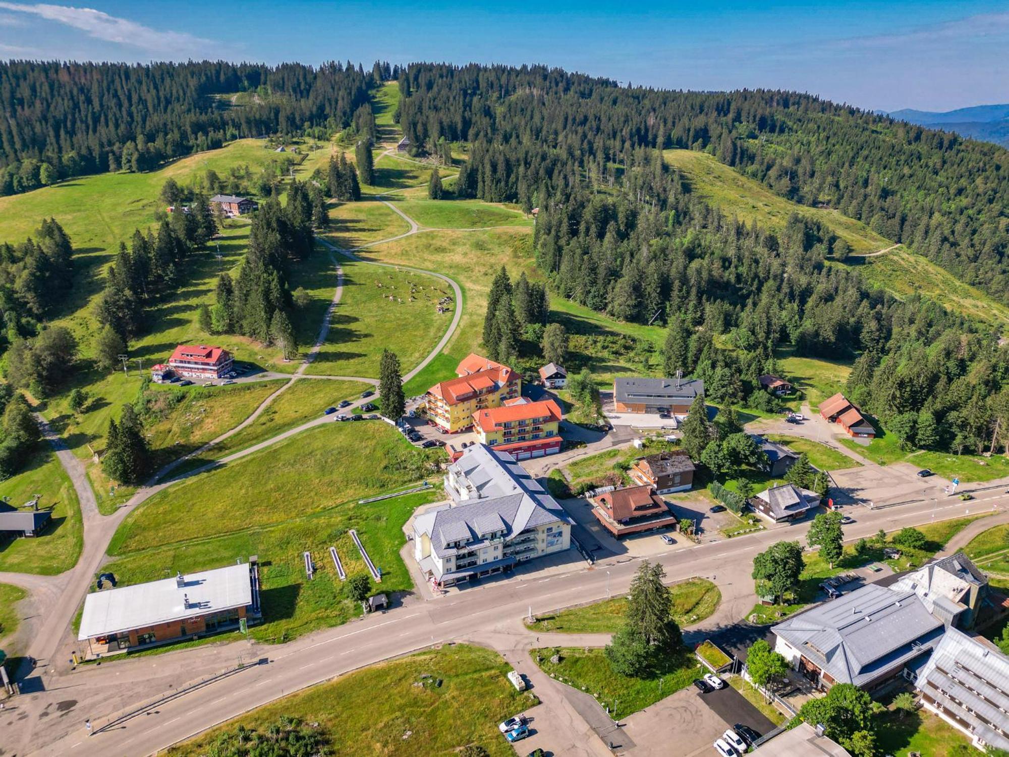 Feldberg Domizil - Residenz Grafenmatt Apartment Rinken Bagian luar foto