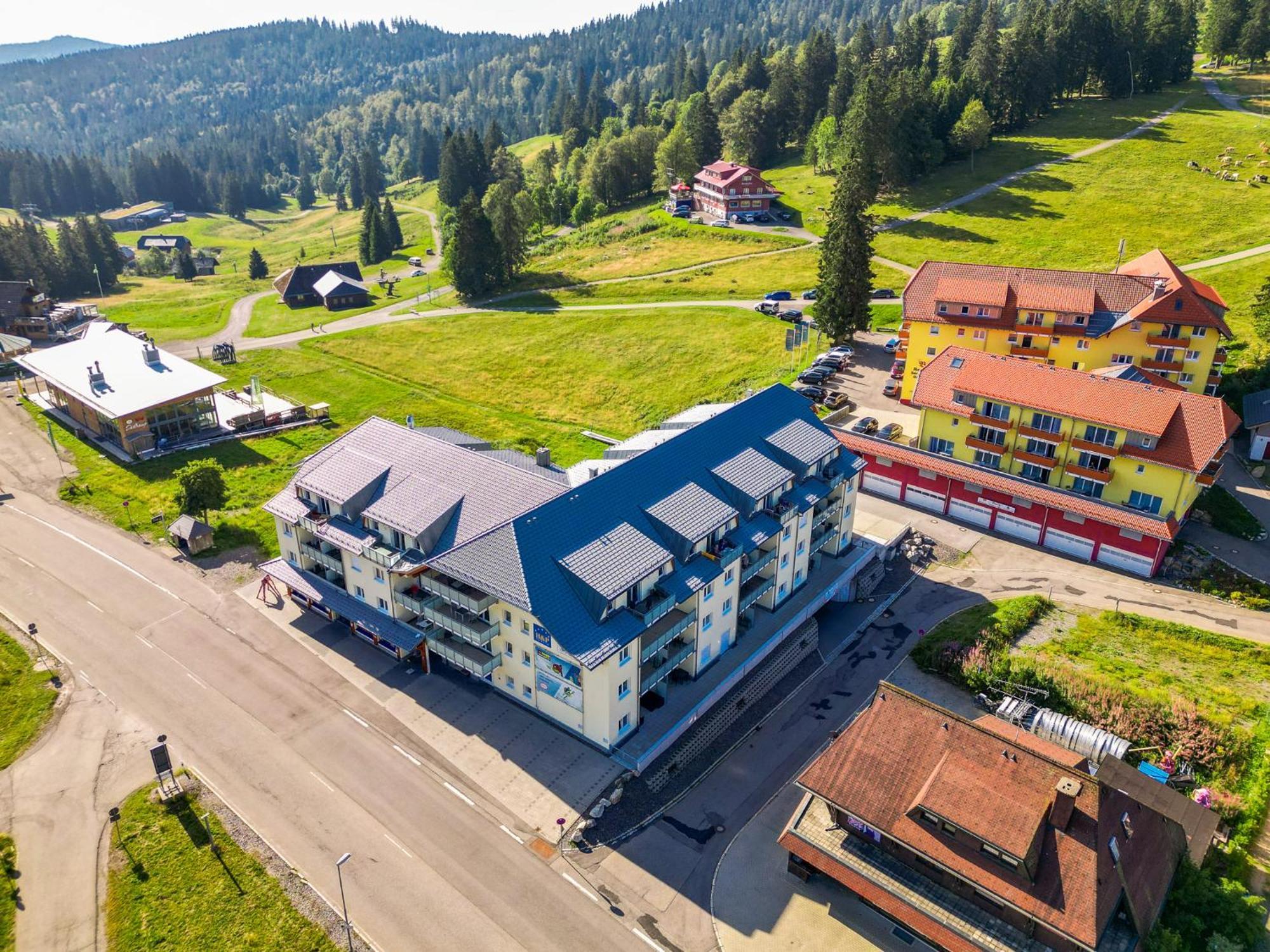 Feldberg Domizil - Residenz Grafenmatt Apartment Rinken Bagian luar foto