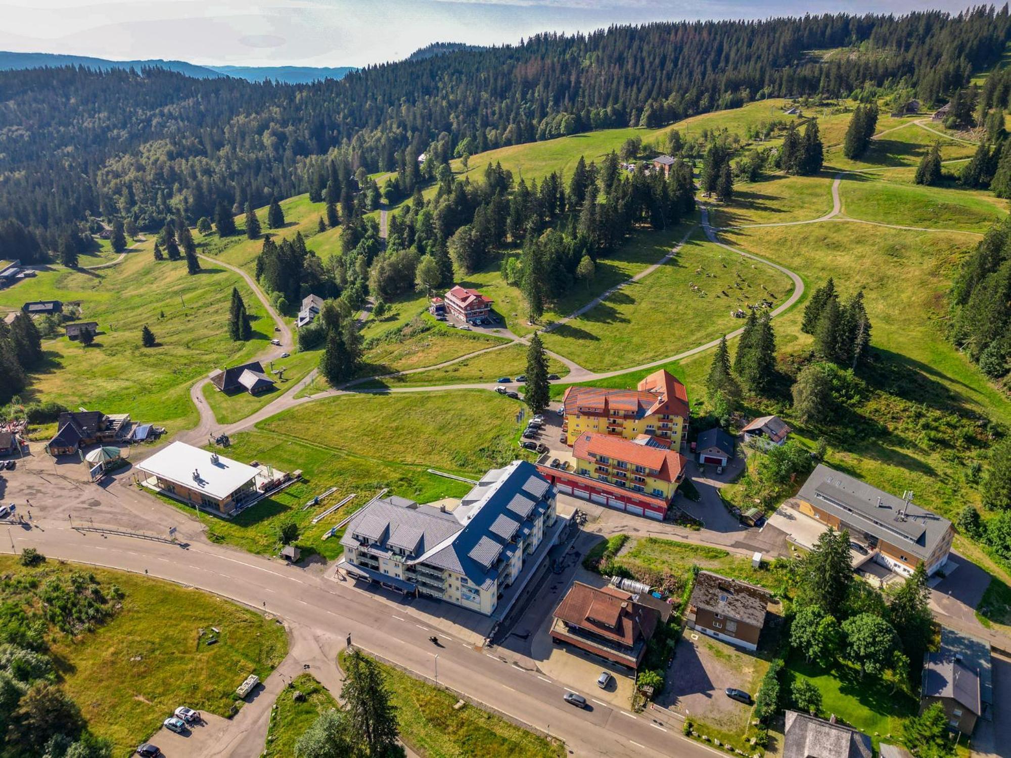 Feldberg Domizil - Residenz Grafenmatt Apartment Rinken Bagian luar foto
